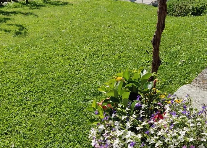 Drei-zimmer-wohnung La Mucca In Gignod By Interhome Apartment *